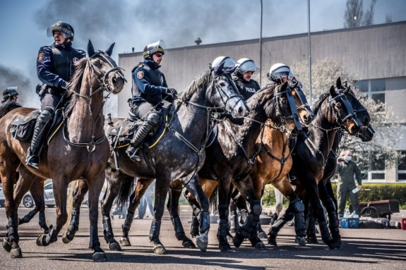 umundurowani policjanci i strażnicy miejsce jadą w szyku szturmowym na koniach