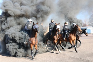 konie policyjne jadą przez gęsty i ciemny dym