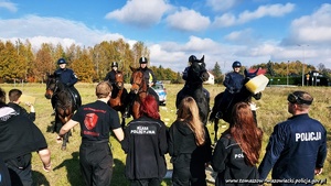spotkanie policjantów z zespołu konnego na koniach służbowych z uczniami klasy policyjnej. uczniowie w szkolnych mundurach