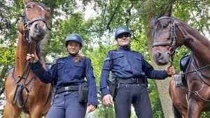 Policjanci z końmi