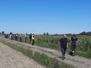 policjanci, strażacy oraz inne osoby zaangażowane w poszukiwania osoby zaginionej podczas działań poszukiwawczych w rejonie pola kukurydzy