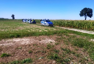 policjanci, strażacy oraz inne osoby zaangażowane w poszukiwania osoby zaginionej podczas działań poszukiwawczych w rejonie pola kukurydzy