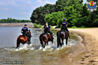 Policyjny patrol konny ( 3 konie) patroluje patroluje linię brzegową Zalewu Sulejowskiego