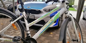 rower koloru białego na tle policyjnego radiowozu