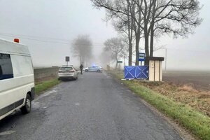 zdjęcie miejsca wypadku drogowego. Widoczny radiowóz, przystanek autobusowy, pracujący na miejscu zdarzenia policjant ruchu drogowego i policyjny parawan osłaniający ciał ofiary wypadku
