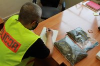 Funkcjonariusz policji wykonujący oględziny zatrzymanego suszu roślinnego