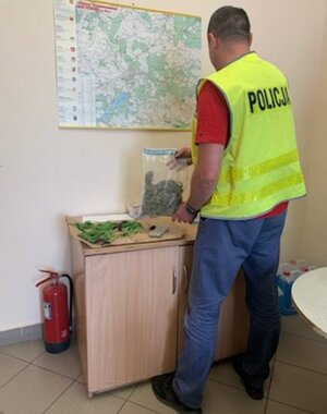 Funkcjonariusz policji podczas czynności oględzin zabezpieczonych narkotyków