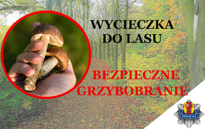 baner z dłonią trzymającą dwa grzyby i napisami - wycieczka do lasu - bezpieczne grzybobranie
