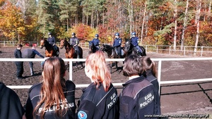 spotkanie policjantów z zespołu konnego na koniach służbowych z uczniami klasy policyjnej. uczniowie w szkolnych mundurach