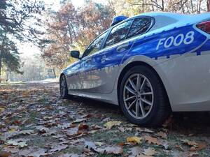 oznakowany radiowóz na drodze pełnej jesiennych liści