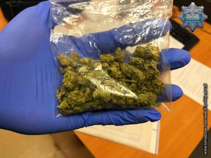 dłoń w gumowej rękawiczce na dłoni torebka foliowa we wnętrzu której znajduje się susz roślinny