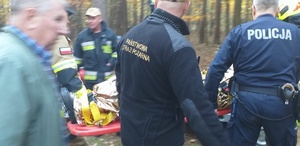 odnalezienie zaginionego i działania służb przy transporcie seniora do karetki pogotowia.