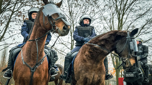 policjantki na koniach służbowych