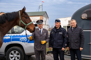 Zastępca Komendanta Wojewódzkiego Policji w Łodzi na zdjęciu z przedstawicielami stadniny Koni w Walewicach. Po lewej stronie na tle radiowozu nowo zakupiony koń służbowy.