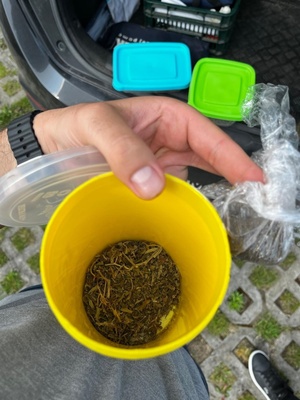 Zabezpieczone przez policjantów narkotyki w plastikowych pudełkach.