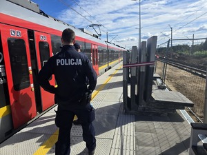 Umundurowany funkcjonariusz Policji stojący na dworcu kolejowym na tle pociągu.