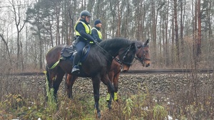 Umundurowany patrol policji konnej podczas służby w rejonie torów kolejowych.