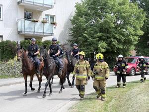 Funkcjonariusze Policji konnej i strażacy na ćwiczeniach poszukiwawczych.