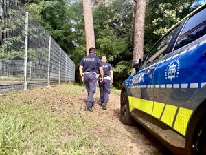 po prawej stronie policyjny oznakowany radiowóz, po lewej w tle dwóch funkcjonariuszy idzie w stronę kompleksu leśnego