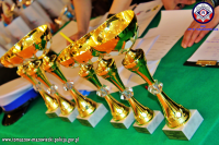 narada jury i przygotowanie pucharów, dyplomów oraz nagród dla poszczególnych zwycięzców turnieju