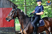 Policyjny patrol konny ( 3 konie) patroluje patroluje linię brzegową Zalewu Sulejowskiego