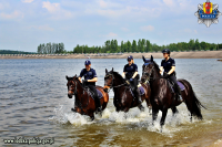 Policyjny patrol konny ( 3 konie) patroluje patroluje linię brzegową Zalewu Sulejowskiego