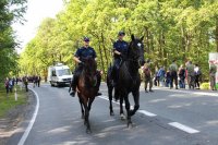 Konie policyjne zabezpieczają Dożynki Prezydenckie w Spale